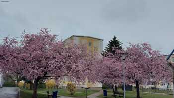 Grundschule Neukieritzsch