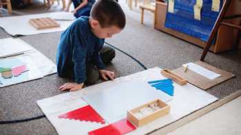 Bluffview Montessori School