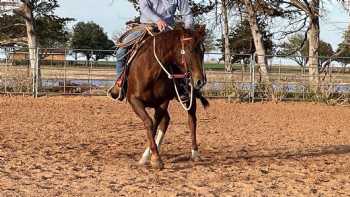 Mayfield Horsemanship