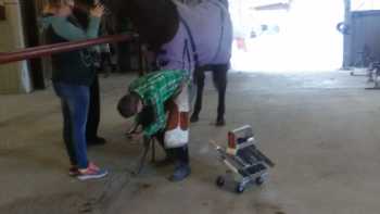 Oklahoma State Farrier School