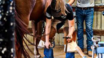 Oklahoma Horseshoeing School - OHS