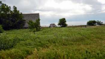 Alfalfa School