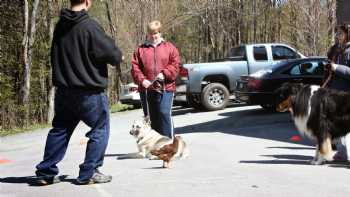 K-9 Academy Dog Train School In Clarks Summit PA (Near Scranton, PA)