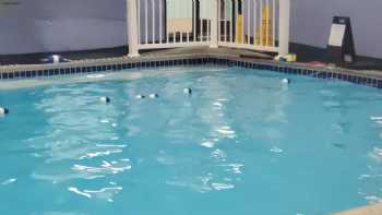 Five Star Swim School - Lehigh Valley