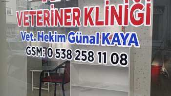 Kaya Veteriner Kliniği