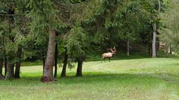 Elk County