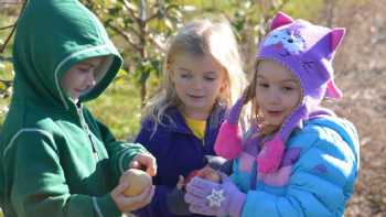 Susquehanna Prep Apple Tree Preschool