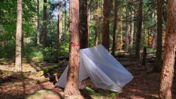 Camp Gretchen Wilderness Survival School