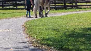 Manito Equestrian Center