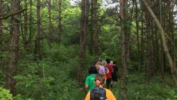 Indiana Outdoor School: Forest Preschool & Summer Camp