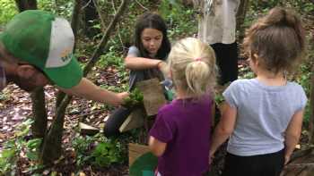 Indiana Outdoor School: Forest Preschool & Summer Camp