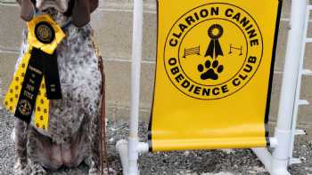 Clarion Canine Obedience Club