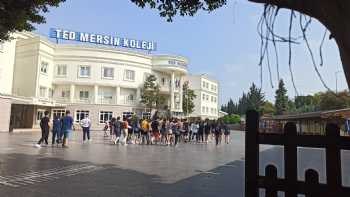 Ted Mersin Koleji