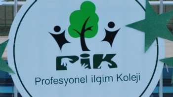 Profesyonel İlgim Koleji