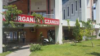 Organize Eczanesi