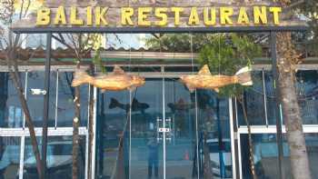 Köseoğlu Canlı Balık Restaurant