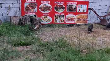 Adana kebap ciğer