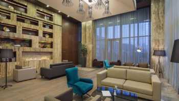 Hilton Garden Inn Istanbul Ataturk Airport