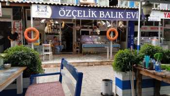 Özçelik Balıkçılık Balık Evi