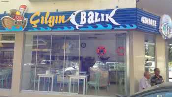 Çılgın Balık