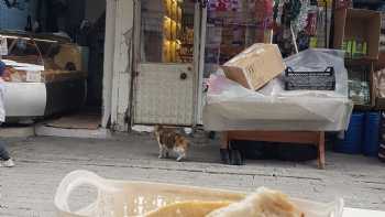 Gaziantep Bereket Sofrası