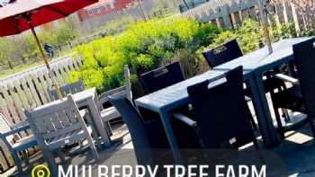 Mulberry Tree Farm