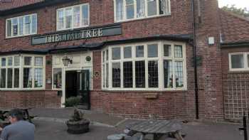 The Lime Tree