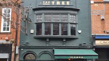 Tree, Leicester