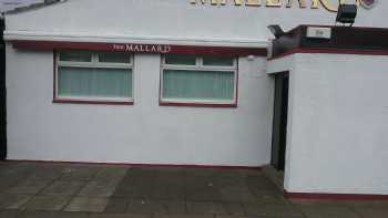 The Mallard 