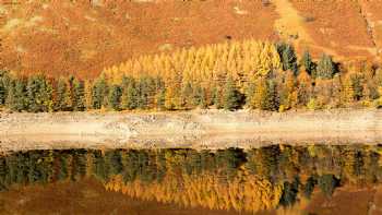 Brasserie 37 at the Haweswater 