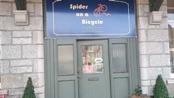 Spider on a Bicycle 