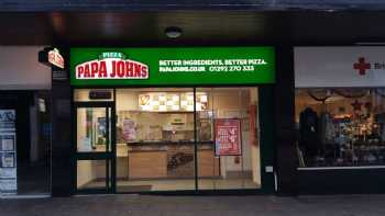 Papa Johns Pizza 