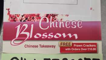 Chinese Blossom 