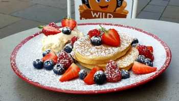 Wild Pancakes 