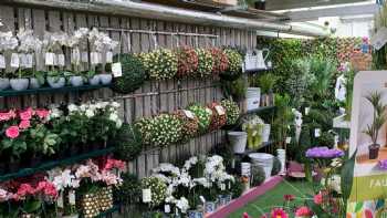 Caulders Garden Centre Cupar 