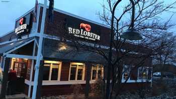 Red Lobster 