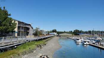 Alaska Wild Fish & Chip Co. 