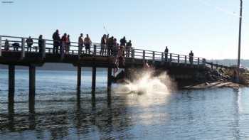 Olalla Bay Market & Landing 