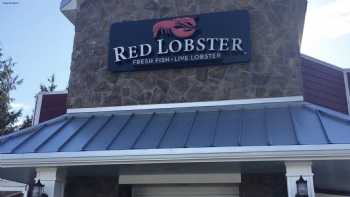 Red Lobster 