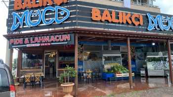 Balıkçı müco