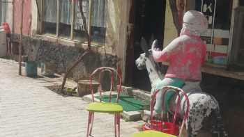 Nasreddin Etlipide Salonu