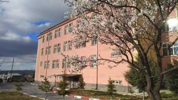 Şereflikoçhisar Anadolu Lisesi