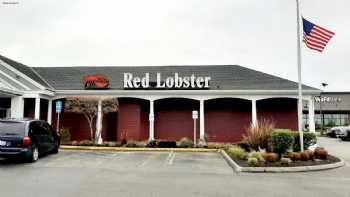 Red Lobster