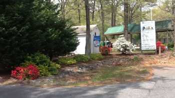 Tall Pines Campground Resort