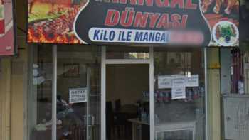 Mangal Dünyasi