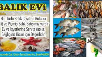 DERİK BALIK EVİ