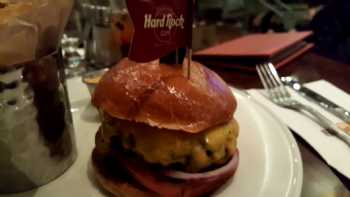 Hard Rock Cafe 