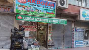 AKDOGAN TAVUKCULUK