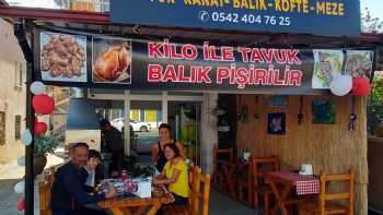 Çiftlik Pişiricisi