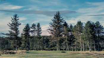 Golspie Golf Club 